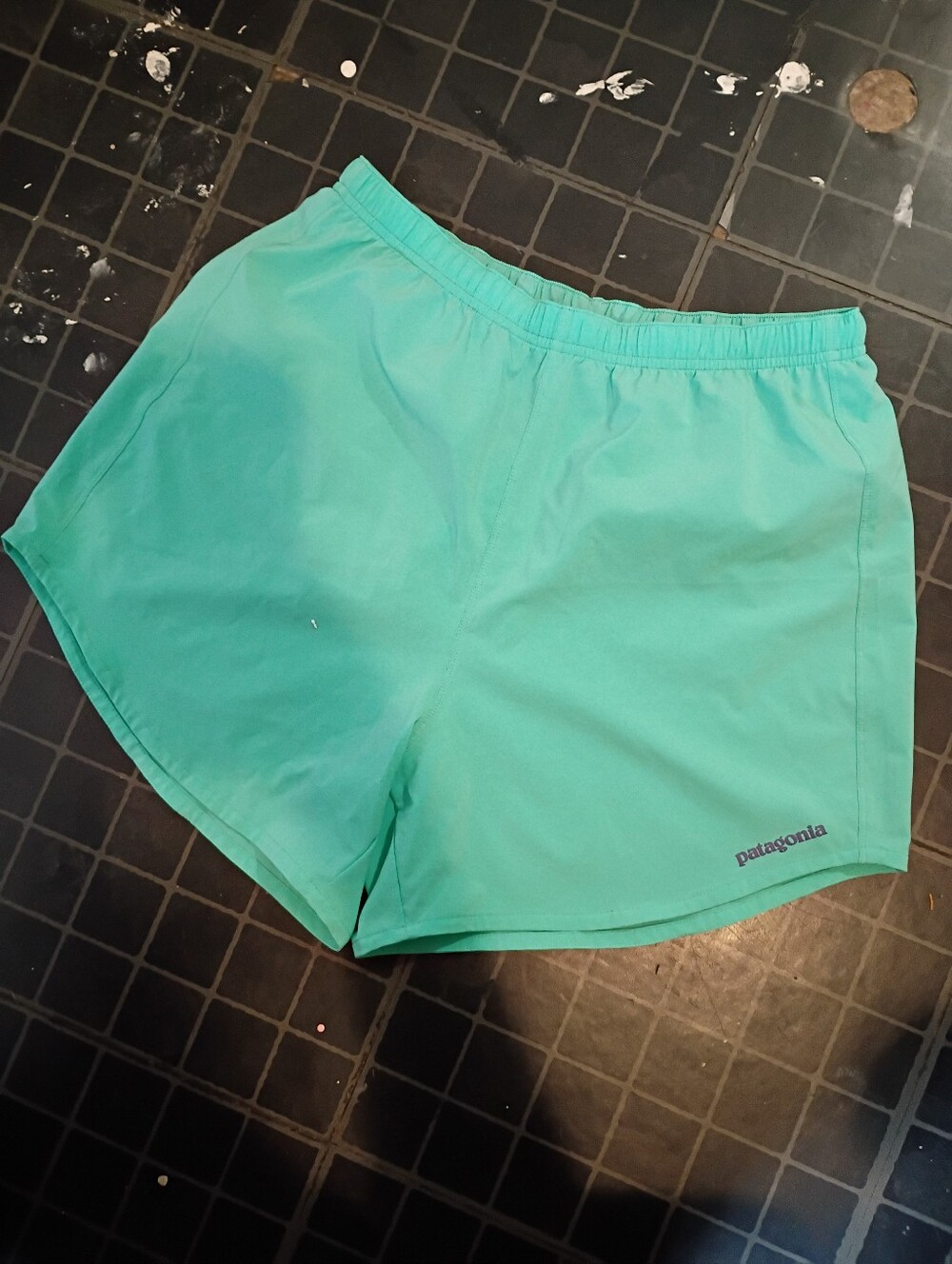 Patagonia Women’s Turquoise Athletic Shorts